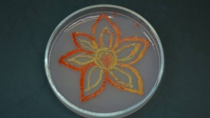 Peindre avec des bactéries