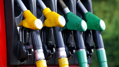 Government-generated compensations for the fuel price