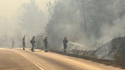 Les sapeurs-pompiers roumains à l’étranger