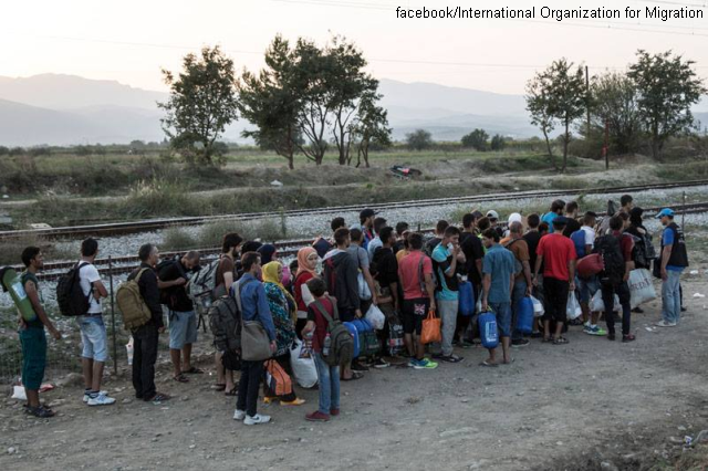 Migranţii, criză şi soluţii