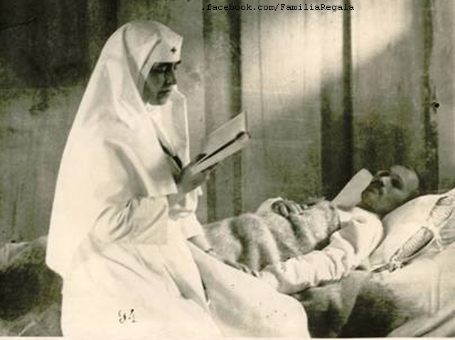 Le typhus exanthématique dans la Roumanie de la Grande Guerre