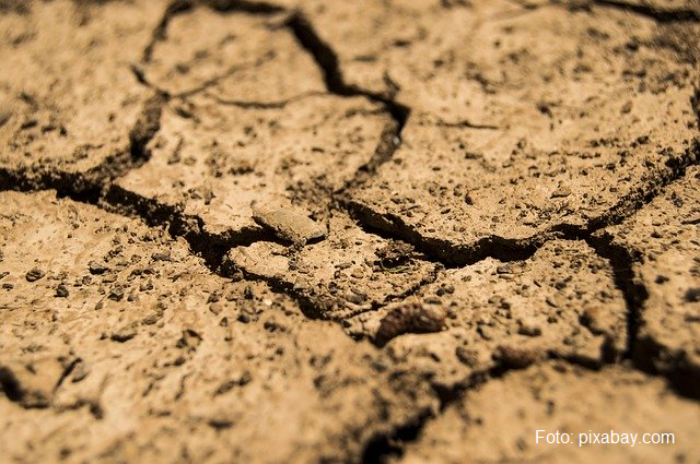 Борьба с опустыниванием и засухой