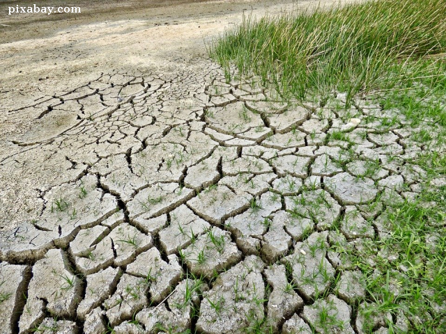 Severe drought in Romania