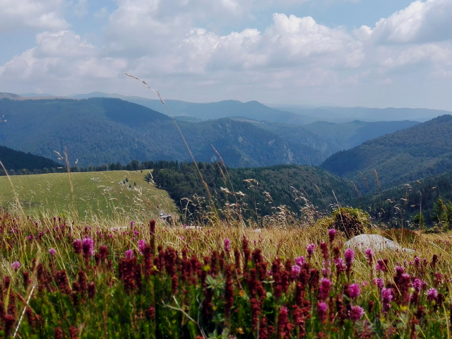 Şosele montane din România