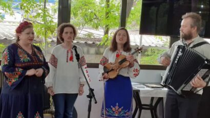 Les instruments à cordes dans la musique traditionnelle roumaine