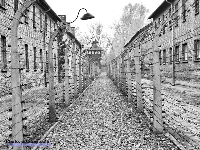 La miscelánea: El Día Internacional en Memoria de las Víctimas del Holocausto