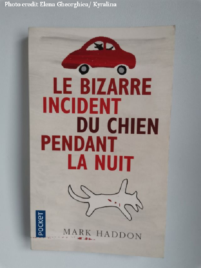 Le bizzare incident du chien pendant la nuit