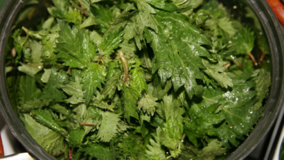 Nettles