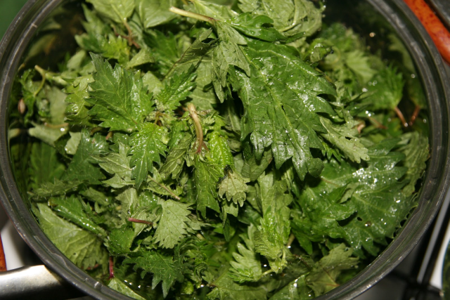 Nettles