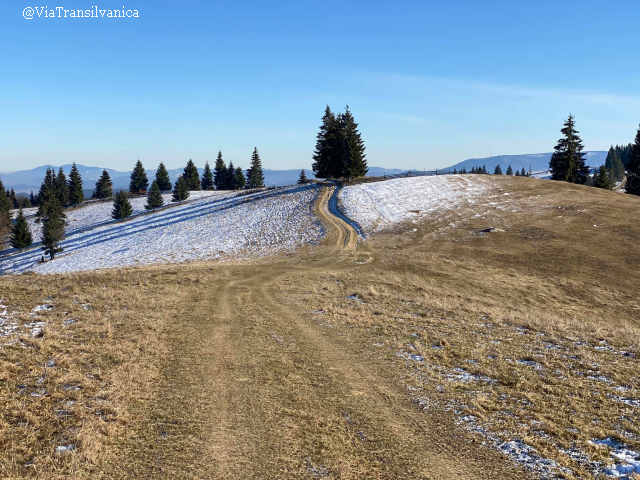 La ruta Via Transilvanica