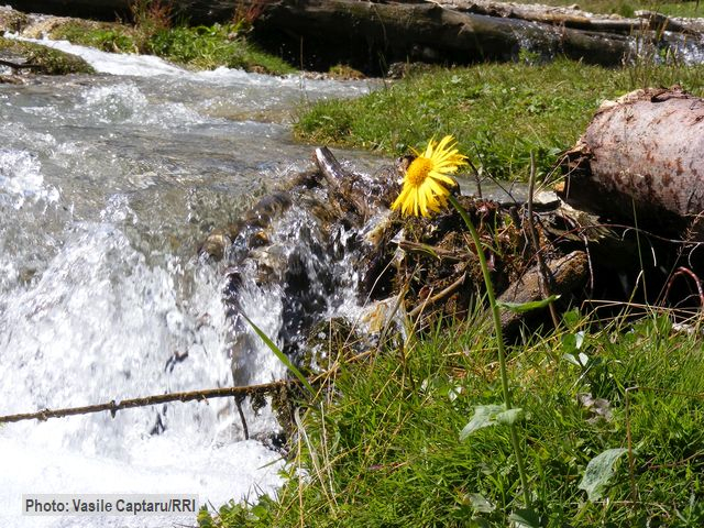 Кампанія задля захисту водних ресурсів