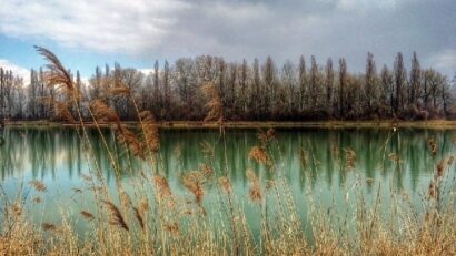 Das Naturreservat in Arcuda