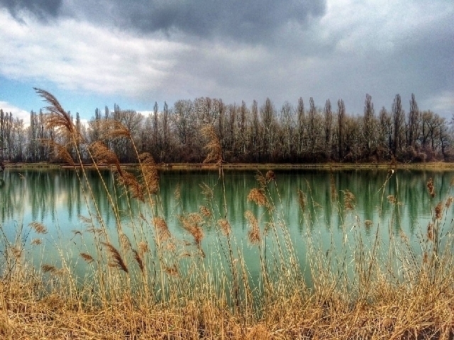 Das Naturreservat in Arcuda