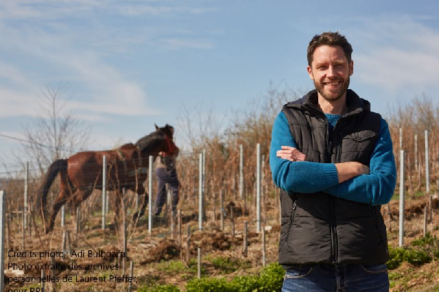 Des vins franco-roumains qui font rêver (II)