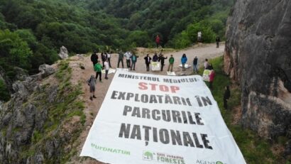 Umweltschützer: Forstamt trägt Mitschuld an illegalen Abholzungen in Nationalparks