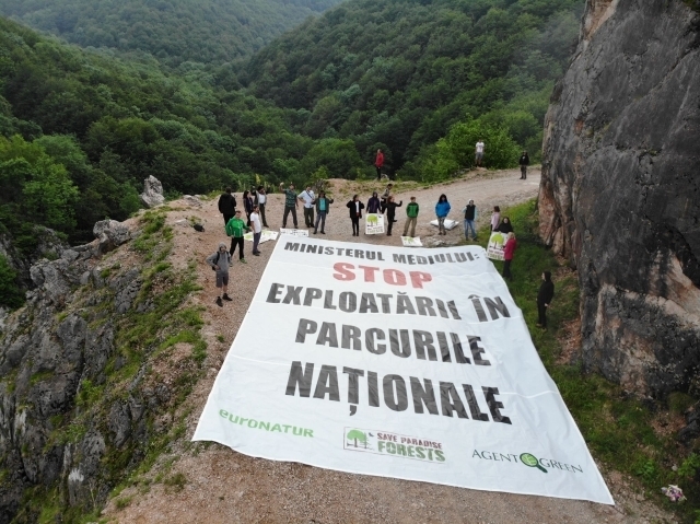 Umweltschützer: Forstamt trägt Mitschuld an illegalen Abholzungen in Nationalparks