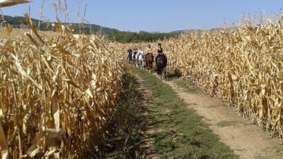 Reiturlaub im Landkreis Alba