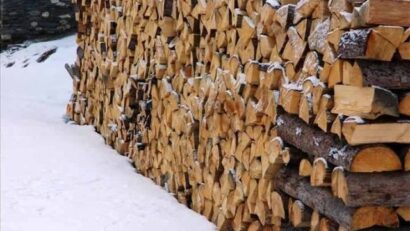 André Biot (Belgique) – En Roumanie, les particuliers peuvent-ils couper du bois dans les forêts?