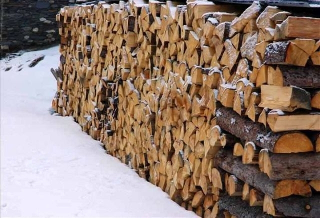 André Biot (Belgique) – En Roumanie, les particuliers peuvent-ils couper du bois dans les forêts?