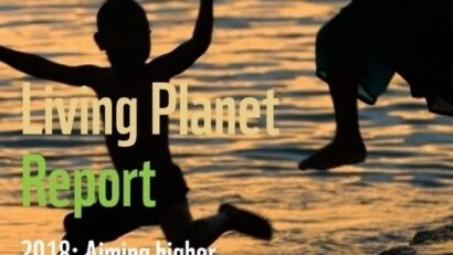 Living Planet Report 2018: Artensterben geht weiter