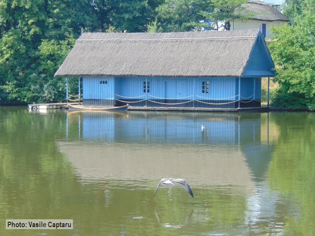 Національний музей села