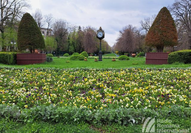 Civic Groups and Green Spaces in the Capital