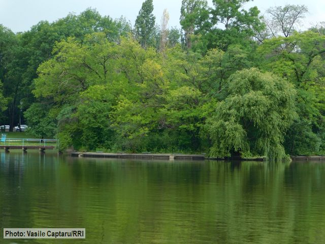 Зелені зони столиці