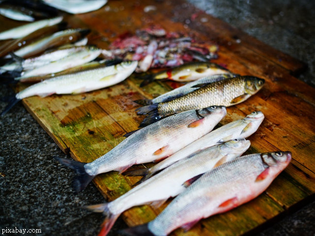 Rezept aus der rumänischen Küche: Fisch-Plachia