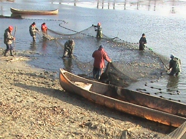 Öko-Tourismus in der Fischfarm