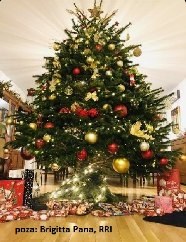 La miscelánea: ¿Cómo empezó la tradición del árbol de Navidad?