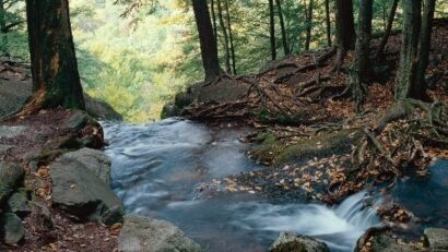 Junge Umweltschützer von Petro Aqua werben für umweltbewusstes Verhalten