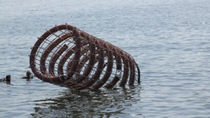 Ökosystem-Regenerierung: Künstliche Riffe im Schwarzen Meer