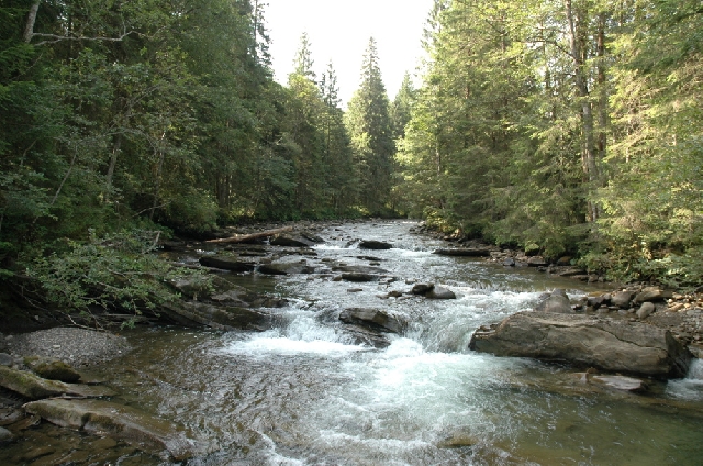 Bergflüsse können umweltgerecht Strom liefern