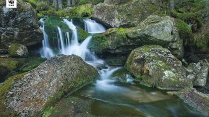 Mikro-Wasserkraftwerke an Gebirgsflüssen: Umweltschützer stemmen sich dagegen