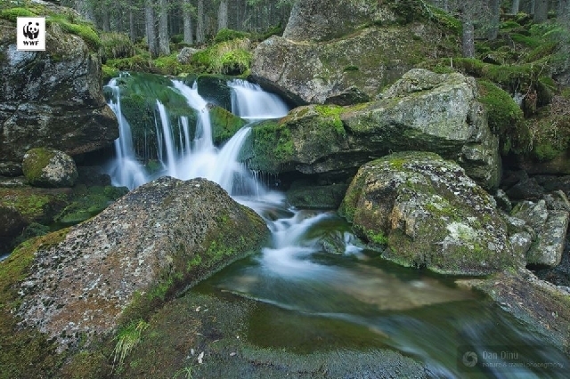 Mikro-Wasserkraftwerke an Gebirgsflüssen: Umweltschützer stemmen sich dagegen