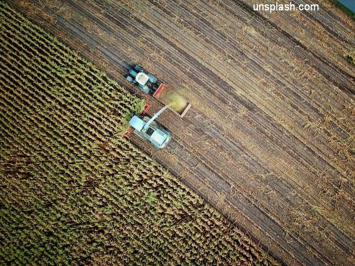 Agricultura (foto: unsplash.com)