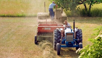 Aid for Romanian farmers affected by the drought