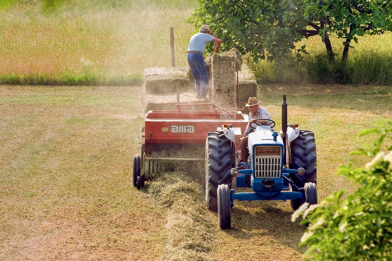 Agriculture (Photo: Camera-man / pixabay.com)