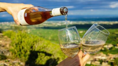Turism viticol în zona Moldovei