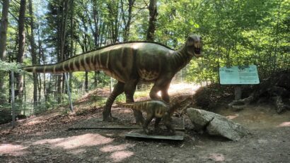 Le Dino Parc de Rasnov