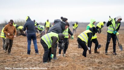 Лісорозведення – рішення проти опустелювання на півдні Румунії