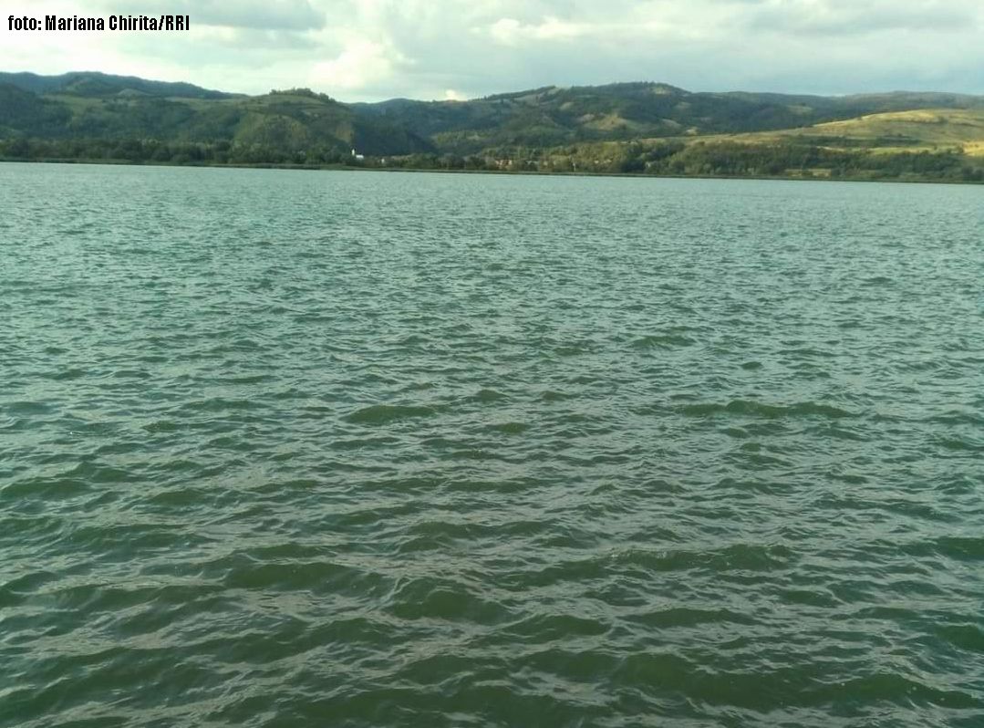 Une découverte inattendue dans les eaux roumaines : les crevettes asiatiques du Delta du Danube