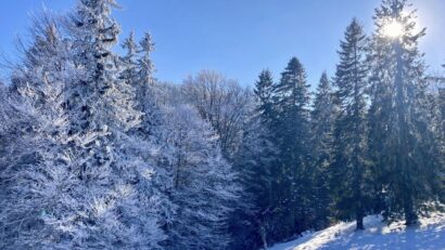 La miscelánea: Invierno mágico en Rumanía