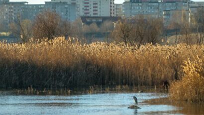 Les zones naturelles urbaines protégées