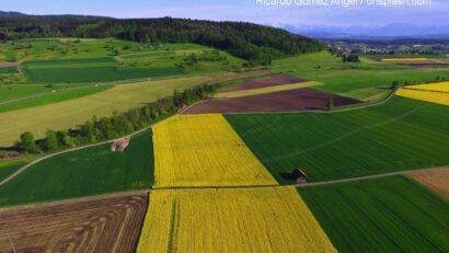 Prezzi dei terreni agricoli in Romania