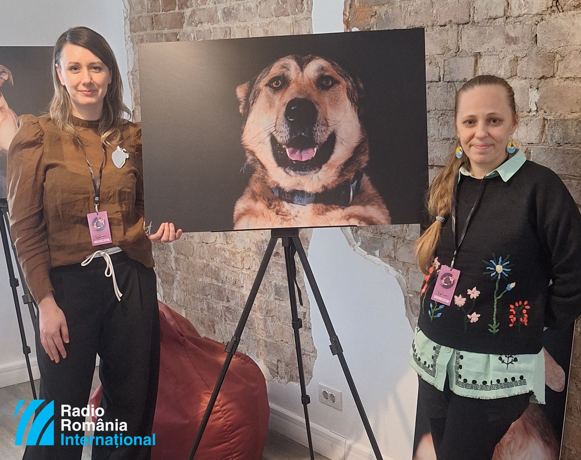 Olivia Sandu (l.i.B.) und Laura Fincu von der Sache Foundation mit Bild der Hündin Hiena, die immer noch ein Zuhause sucht (Foto: Ana Nedelea)