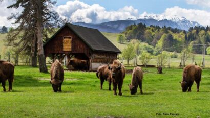 Vama Buzăului, un complejo turístico en plena naturaleza