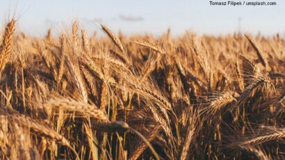 La crusca di grano come integratore