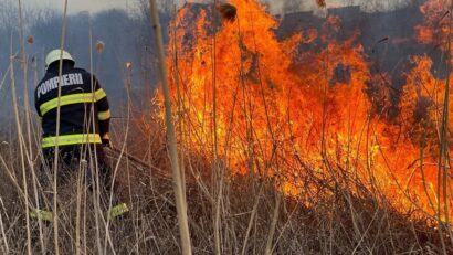 Il pericolo degli incendi boschivi